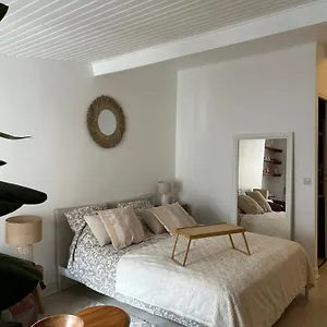 Grand Studio Entierement Renove Au Coeur De Paris